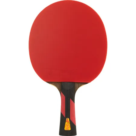 Ракетка для н/т DOUBLE FISH 7A+C, для професс.,ITTF Appr.,накл.2,1мм,+ 2 мяча V40+мм ITTF Appr за 3&nbsp;559.80 ₽ купить в Перми