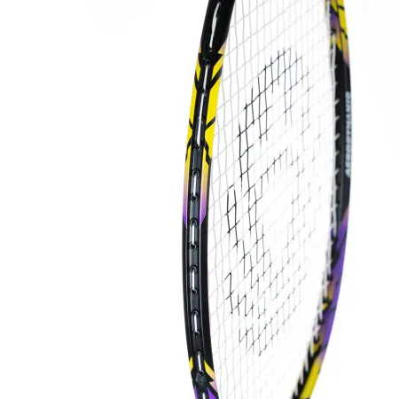 Ракетка бадм. TORRES Carbon PRO6, BD20521,для продв., стерж/обод из карбона,со струнами, фиол за 4&nbsp;477.80 ₽ купить в Перми