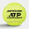 Мяч теннисный Dunlop ATP Championship 4B, 601627, уп.4ш, одобр. ITF, нат.резина,фетр. за 1&nbsp;242.70 ₽ купить в Перми