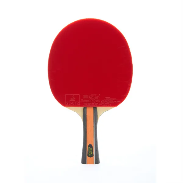 Ракетка для н/т DOUBLE FISH J9, для профессионалов, накладка 2.1 мм, конич. ручка + чехол за 4&nbsp;137.80 ₽ в Перми