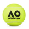Мяч теннисный Dunlop Australian Open, 601601, уп..3 шт, одобр.ITF,фетр,нат.резина, желтый за 1&nbsp;171.30 ₽ купить в Перми