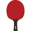 Ракетка для н/т DOUBLE FISH Black Carbon King Racket 5*****, для професс.,ITTF Appr.,накл.2,1,мм за 6&nbsp;434.50 ₽ купить в Перми