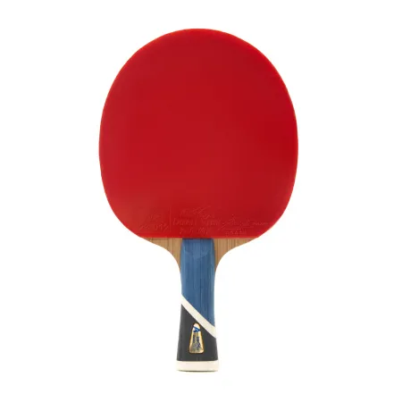 Ракетка для н/т DOUBLE FISH 5A+C, для продвин, ITTF Appr, накл. 2,1 мм, конич. ручка+ 2 мяча V40+мм за 2&nbsp;779.50 ₽ купить в Перми