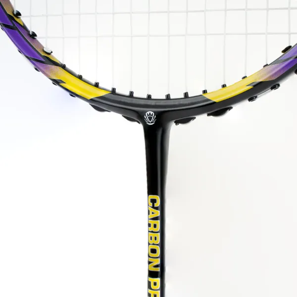 Ракетка бадм. TORRES Carbon PRO6, BD20521,для продв., стерж/обод из карбона,со струнами, фиол за 4&nbsp;477.80 ₽ в Перми